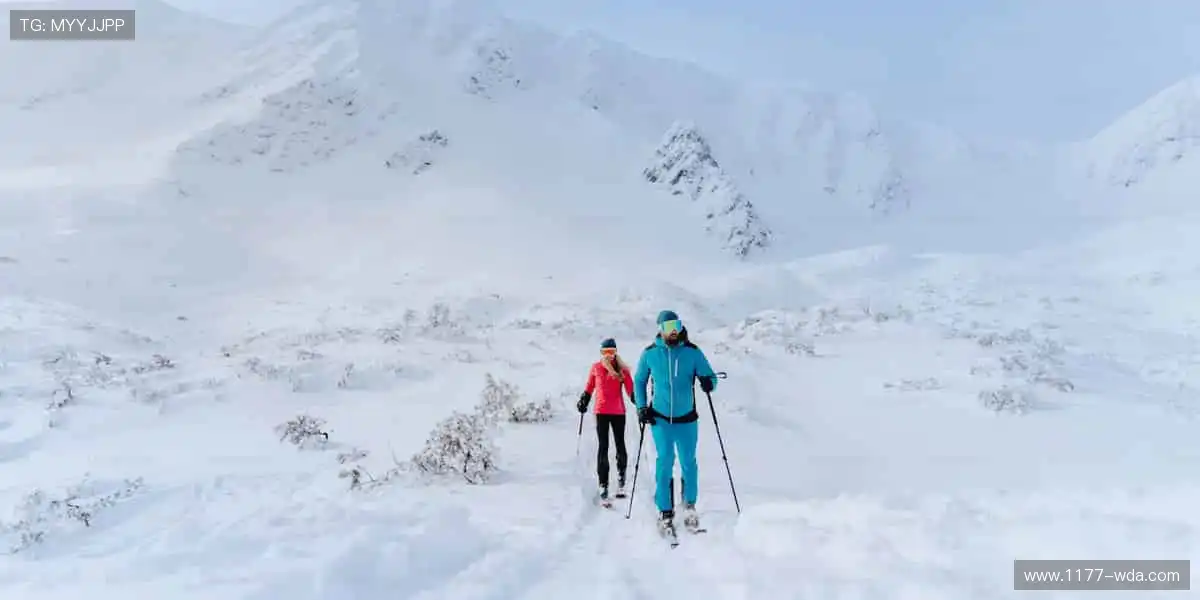 视讯手机电子殿堂：直播掌上经典玩法，全面升级